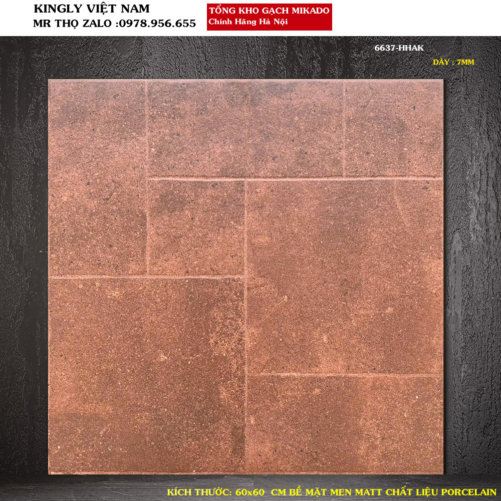 Gạch giả cổ lát sân 60x60 6637